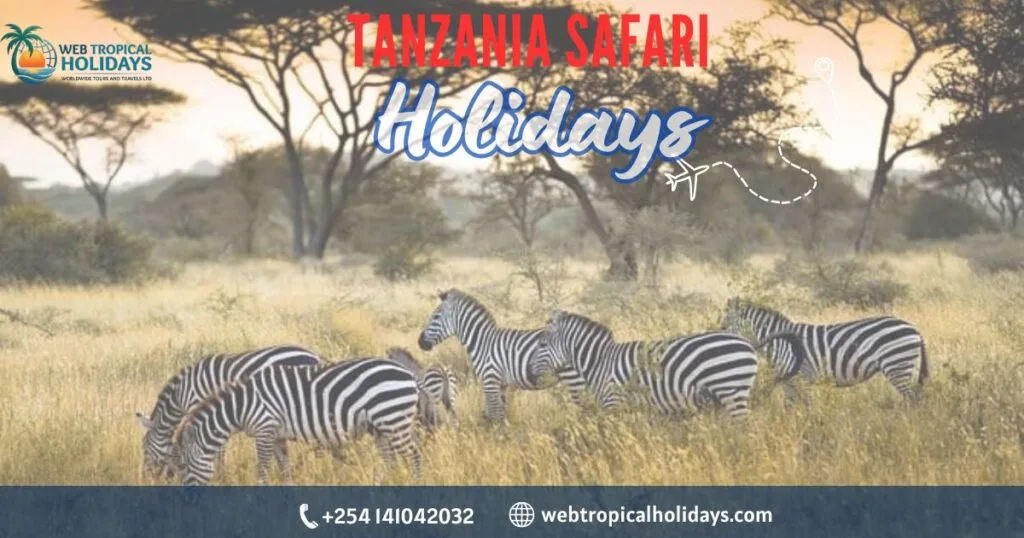 Tanzania Safari: Complete Guide to How to plan the perfect combo trip