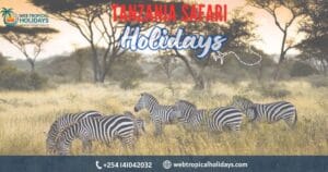 Tanzania Safari: Complete Guide to How to plan the perfect combo trip 1 Tanzania Safari: Complete Guide to How to plan the perfect combo trip