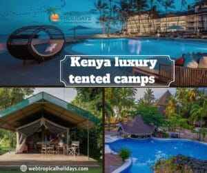 Why Do Kenya Luxury Tented Camps Create the Ultimate Masai Mara Safari?