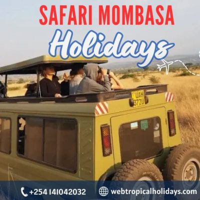 What Makes Safari Mombasa Tours Ideal for Kenya Wildlife?