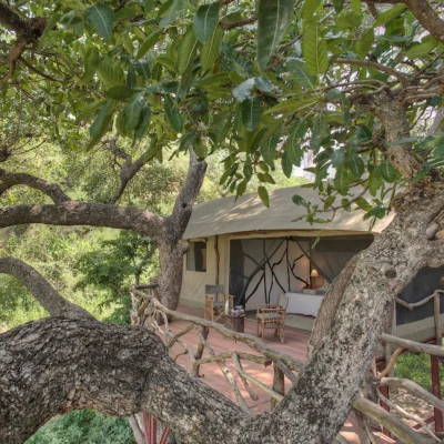 2 Nights Sarara Treehouses