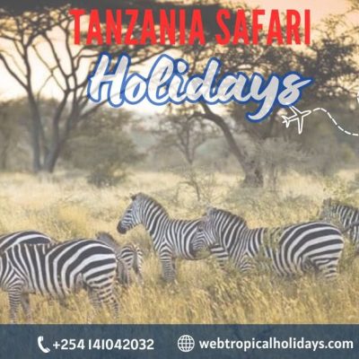 Tanzania Safari: Complete Guide to How to plan the perfect combo trip