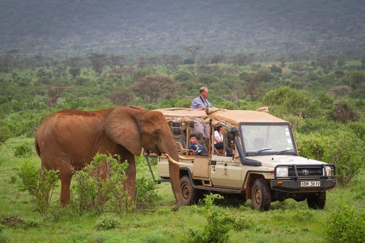 Elephant Charge Safari– Nairobi/Amboseli National Park/Loisaba Conservancy/Maasai Mara N.Reserve.