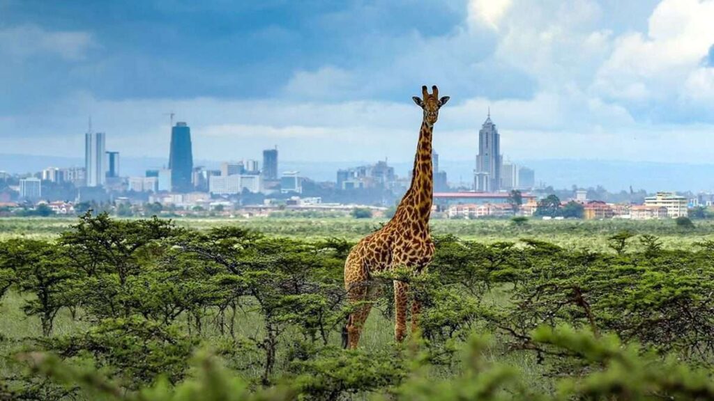 Nairobi Excusions