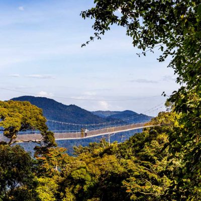3 Days Chimpanzee Trekking and Canopy Walk Safari Adventure.