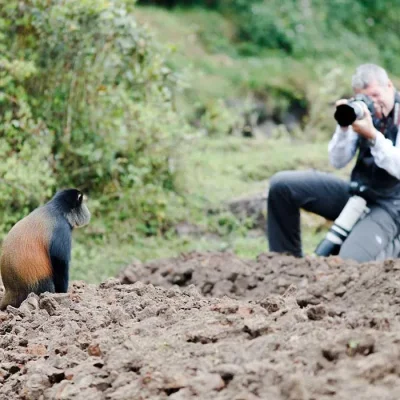 5 Days Wildlife Safaris, Boat Cruise and Golden Monkey Trekking Experience.