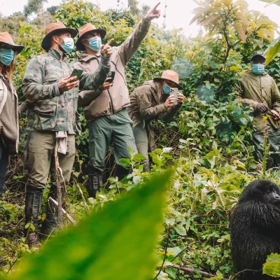 2 Nights Rwanda Gorilla Safari ( Standard) – Departs from Kigali daily.