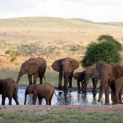 2 Nights Tsavo East & Taita Hills Safari